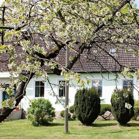 Pension Gestuet Lindenhof Templin Zewnętrze zdjęcie