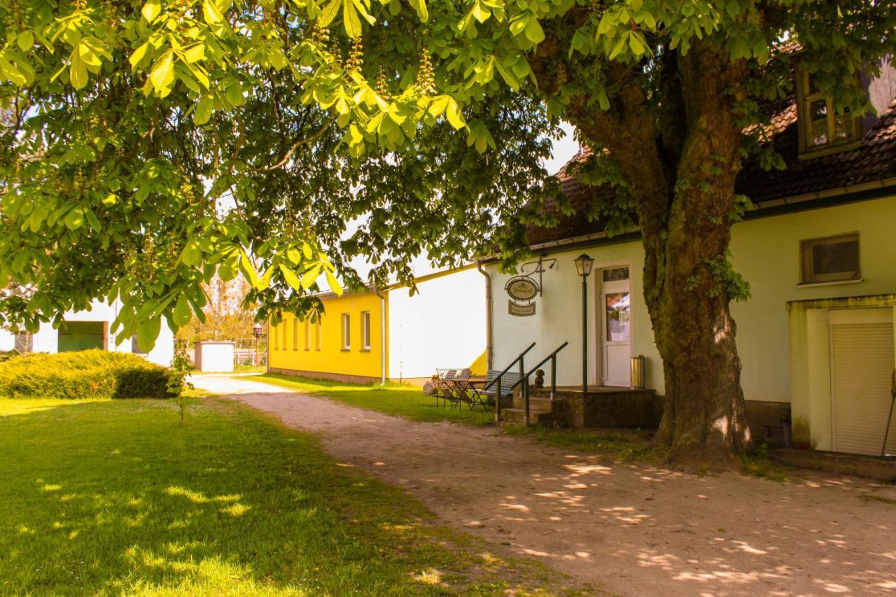 Pension Gestuet Lindenhof Templin Zewnętrze zdjęcie